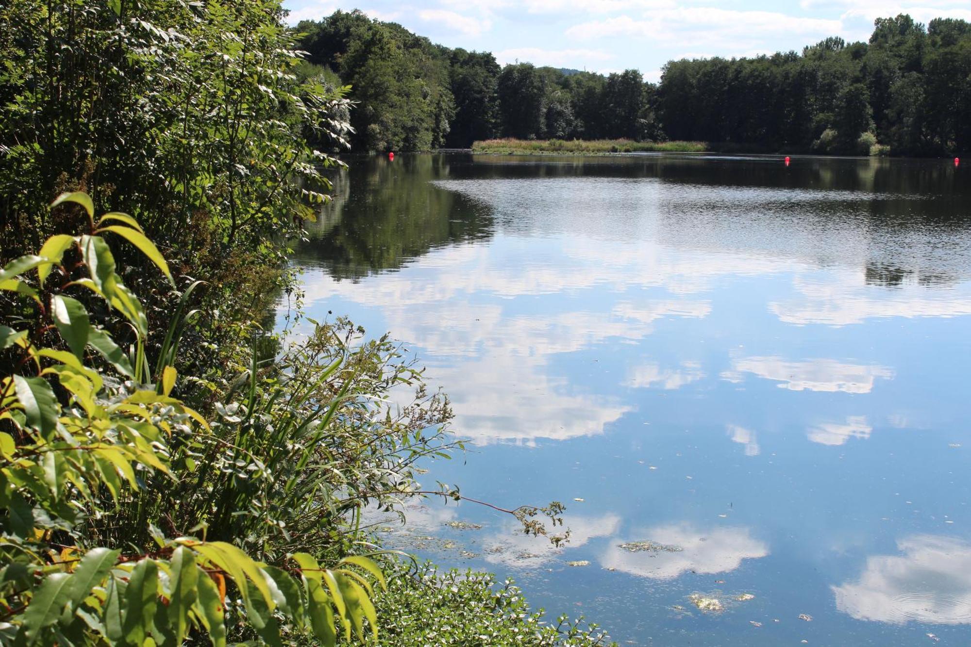 Knaus Campingpark Hennesee Мешеде Екстериор снимка